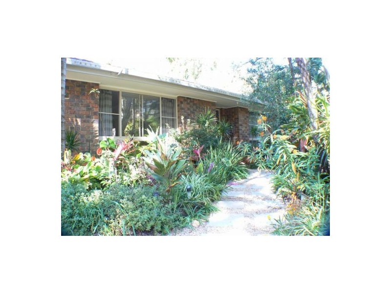 41 Pandanus Street, Mudjimba QLD 4564