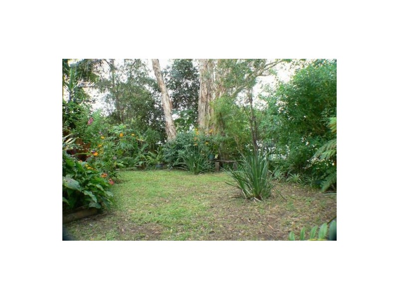 41 Pandanus Street, Mudjimba QLD 4564