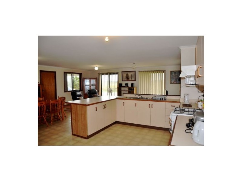 530 David Low Way, Pacific Paradise QLD 4564