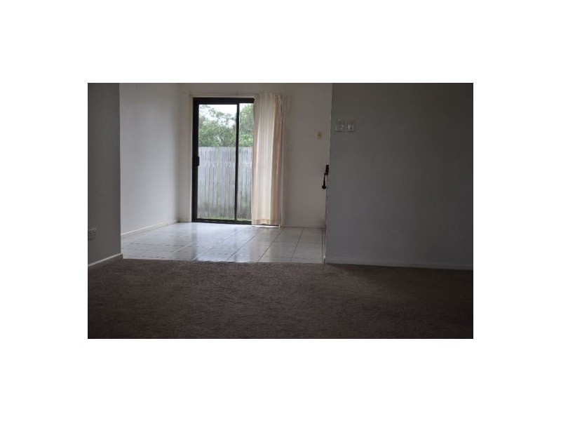 520 David Low Way, Pacific Paradise QLD 4564