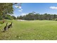 20 Lytham Court, Twin Waters QLD 4564