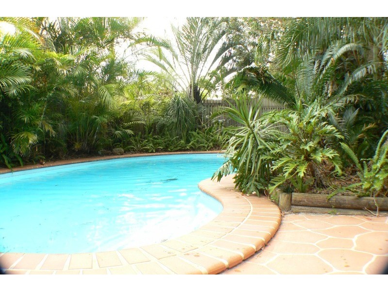 31 Pandanus Street, Mudjimba QLD 4564