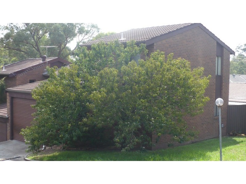 Macquarie Fields NSW 2564