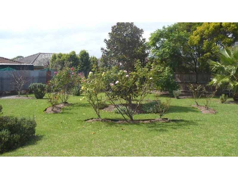 Macquarie Fields NSW 2564