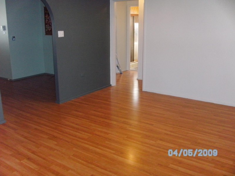 3 Thorne Street, Ingleburn NSW 2565