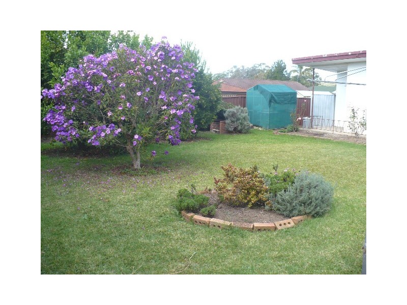Macquarie Fields NSW 2564