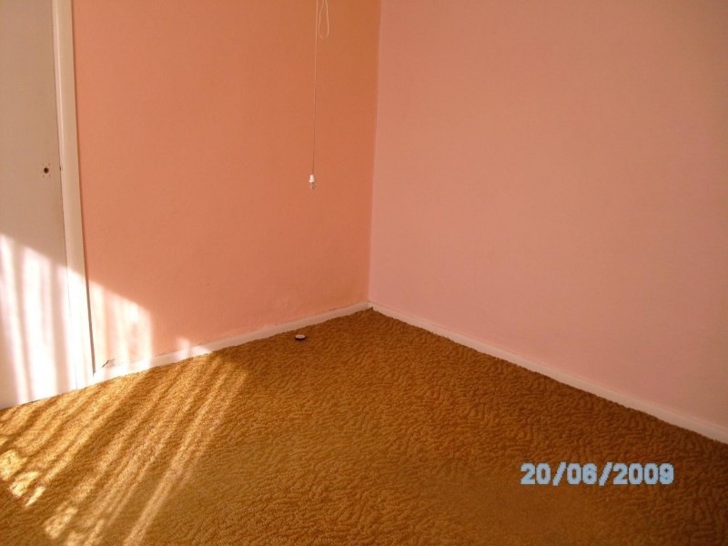 17 Wattle Avenue, Macquarie Fields NSW 2564