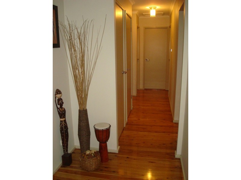 Macquarie Fields NSW 2564