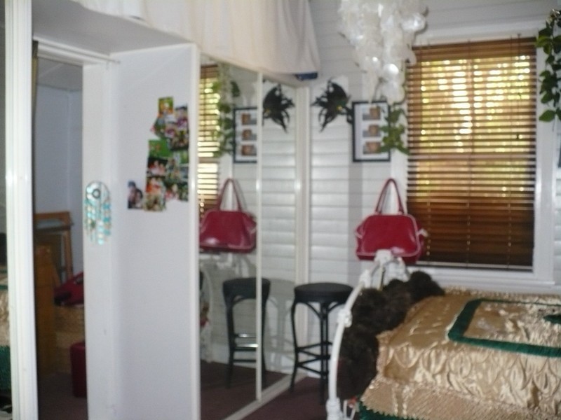 Ingleburn NSW 2565