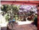 Macquarie Fields NSW 2564