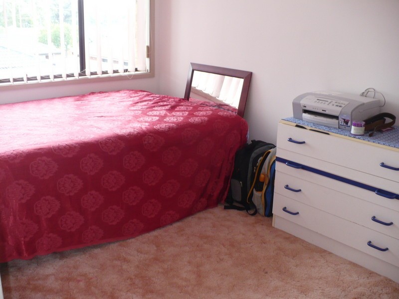Macquarie Fields NSW 2564
