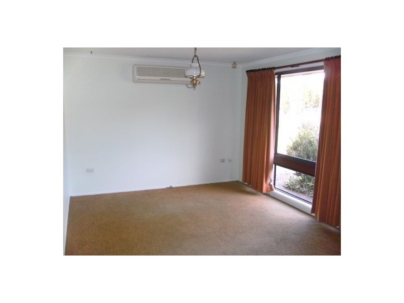 19 Nelson Street, Minto NSW 2566