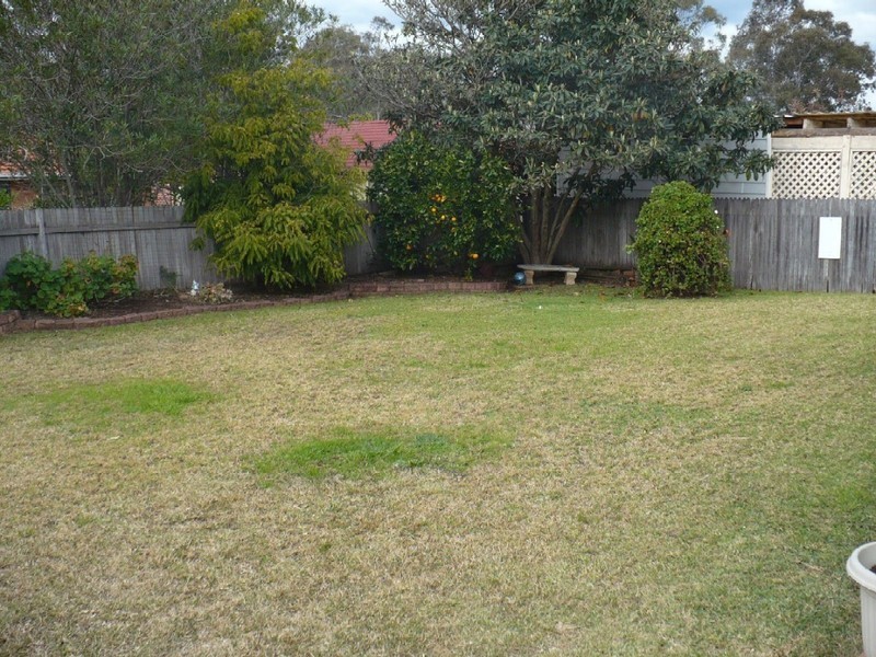 Macquarie Fields NSW 2564