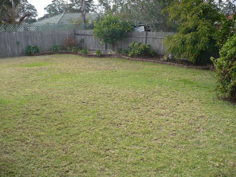 Macquarie Fields NSW 2564