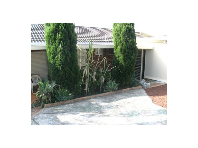 38 Hydrangea Place, Macquarie Fields NSW 2564