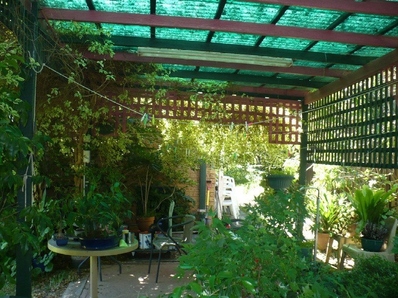 26 Lantana Street, Macquarie Fields NSW 2564