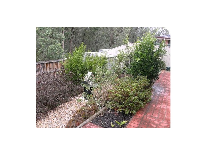 21 Freeman Circuit, Ingleburn NSW 2565