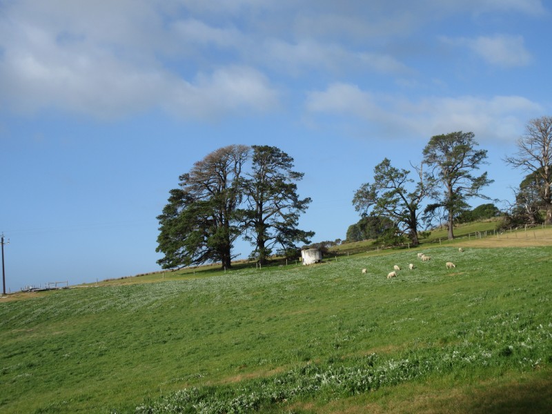 3379 Victor Harbor Road, Mount Jagged SA 5211