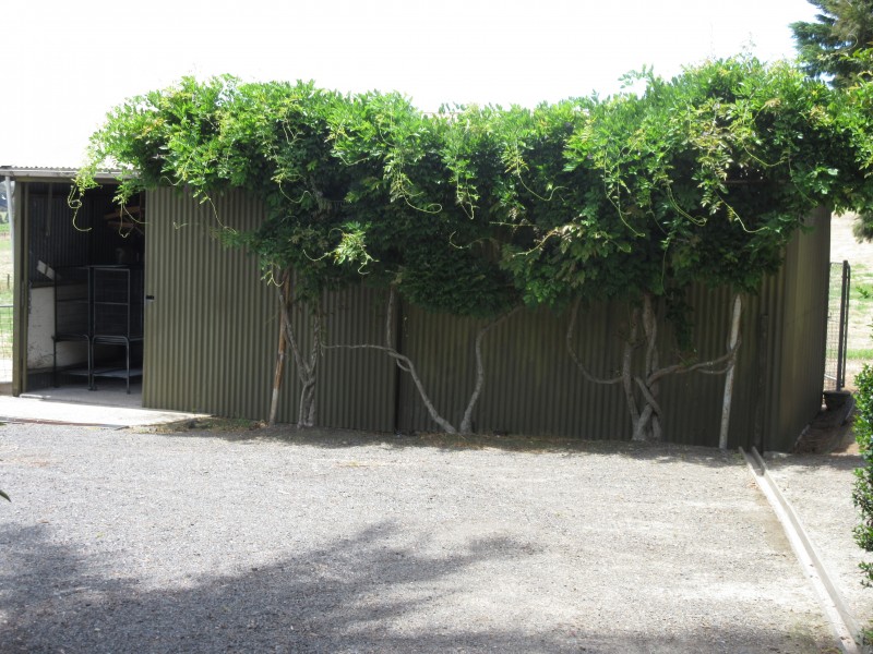 3379 Victor Harbor Road, Mount Jagged SA 5211