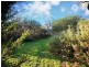 11 Nashwauk Crescent, Moana SA 5169