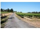 147 Foggo Road, Mclaren Flat SA 5171