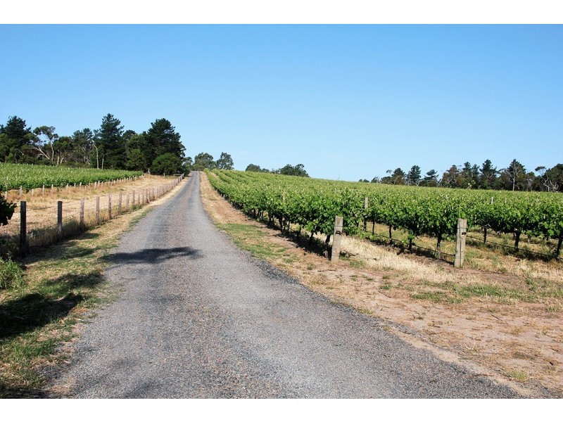 147 Foggo Road, Mclaren Flat SA 5171