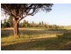 147 Foggo Road, Mclaren Flat SA 5171