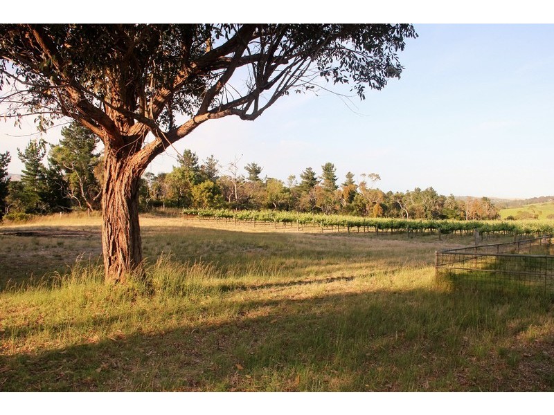 147 Foggo Road, Mclaren Flat SA 5171
