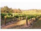 147 Foggo Road, Mclaren Flat SA 5171
