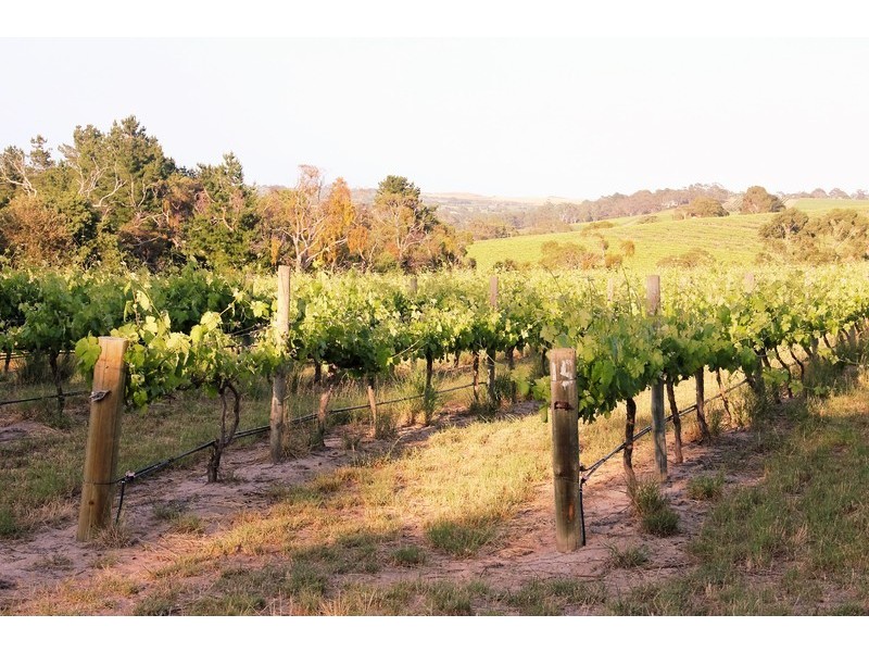 147 Foggo Road, Mclaren Flat SA 5171