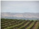 Lot 205 Victor Harbor Road, Mclaren Vale SA 5171