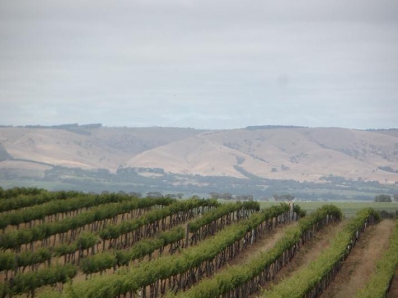 Lot 205 Victor Harbor Road, Mclaren Vale SA 5171