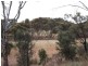 Lot 205 Victor Harbor Road, Mclaren Vale SA 5171