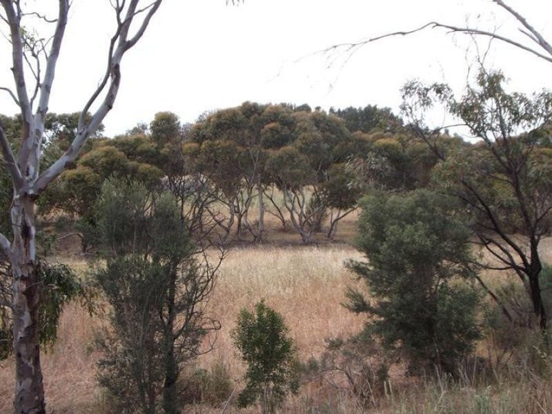 Lot 205 Victor Harbor Road, Mclaren Vale SA 5171