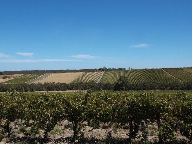 Lot 94 Blewitt Springs Road, Blewitt Springs SA 5171