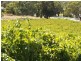 Lot 94 Blewitt Springs Road, Blewitt Springs SA 5171
