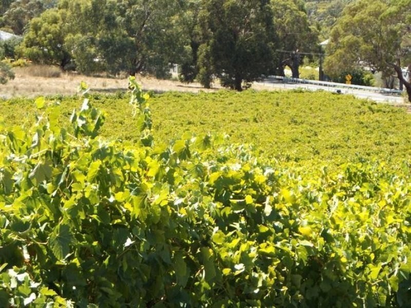 Lot 94 Blewitt Springs Road, Blewitt Springs SA 5171