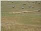 Lots/1 & 2 off Langrehr Road, Finniss SA 5255