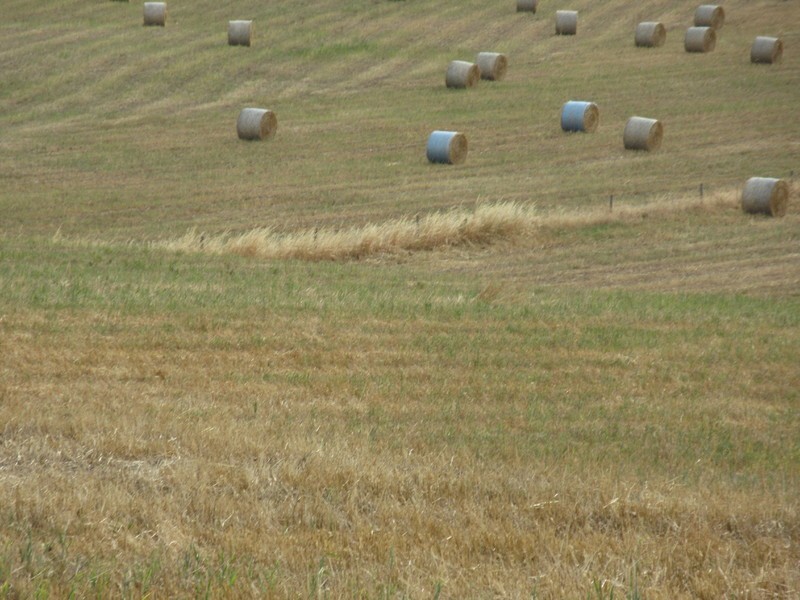 Lots/1 & 2 off Langrehr Road, Finniss SA 5255