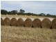 Lots/1 & 2 off Langrehr Road, Finniss SA 5255