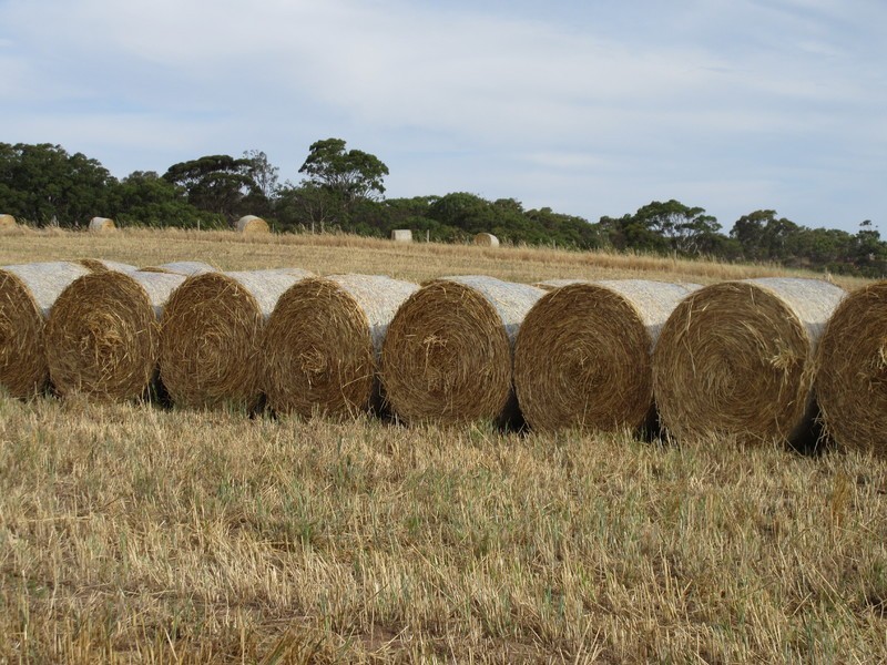 Lots/1 & 2 off Langrehr Road, Finniss SA 5255
