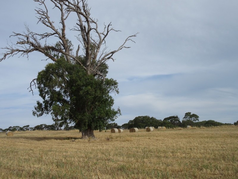 Lots/1 & 2 off Langrehr Road, Finniss SA 5255