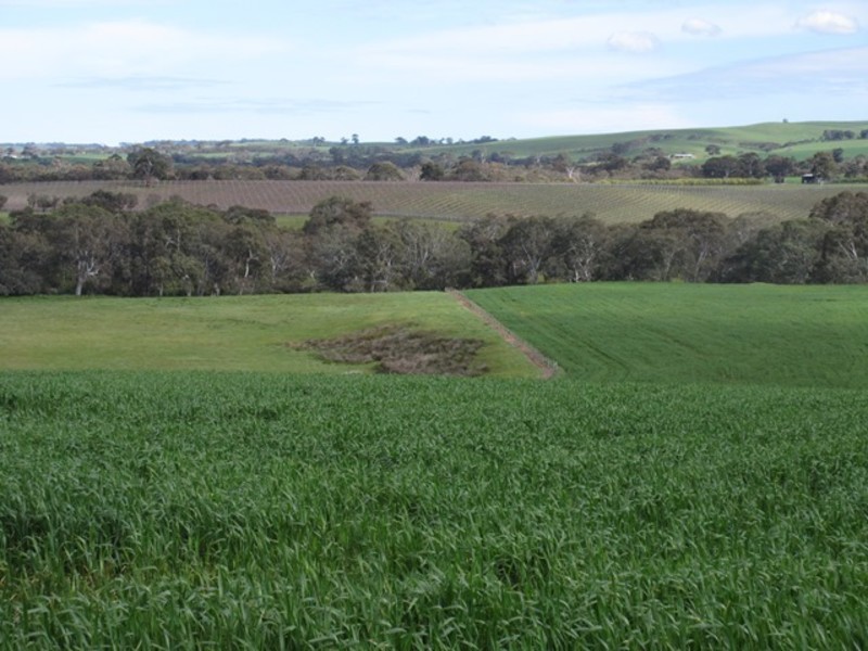 Lots/1 & 2 off Langrehr Road, Finniss SA 5255
