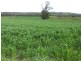 Lots/1 & 2 off Langrehr Road, Finniss SA 5255