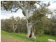 Lots/1 & 2 off Langrehr Road, Finniss SA 5255