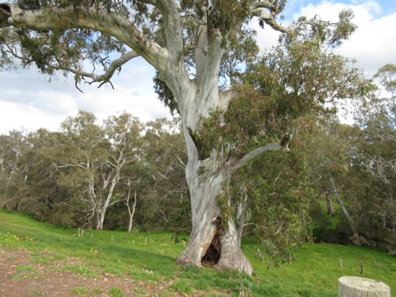 Lots/1 & 2 off Langrehr Road, Finniss SA 5255