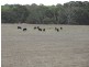 Lots/1 & 2 off Langrehr Road, Finniss SA 5255
