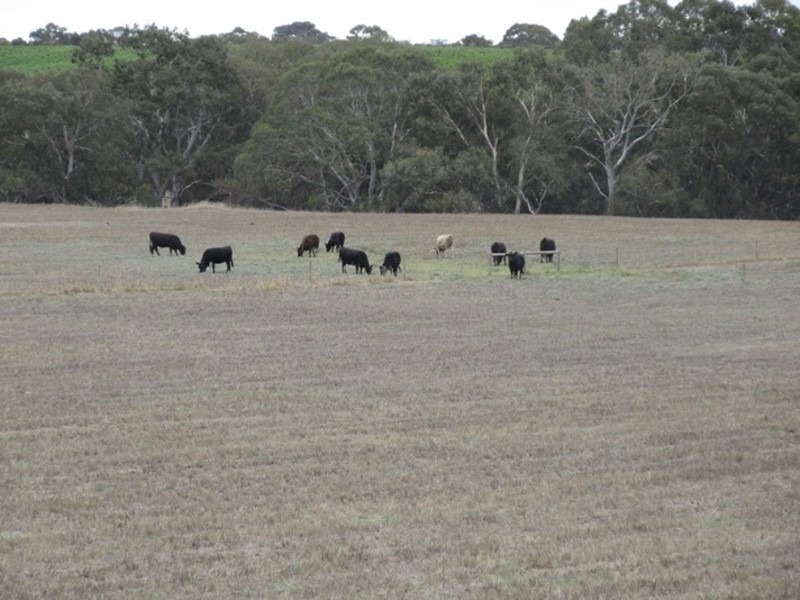 Lots/1 & 2 off Langrehr Road, Finniss SA 5255