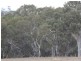 Lots/1 & 2 off Langrehr Road, Finniss SA 5255