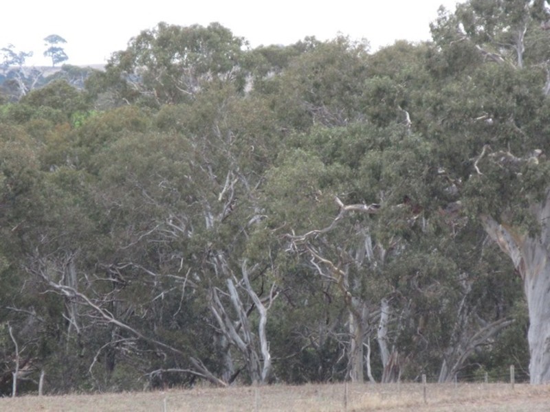 Lots/1 & 2 off Langrehr Road, Finniss SA 5255